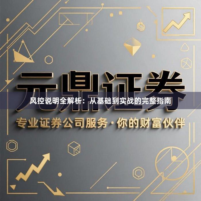 风控说明全解析：从基础到实战的完整指南