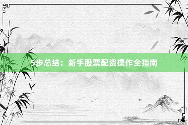 5步总结：新手股票配资操作全指南