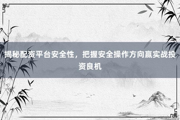 揭秘配资平台安全性，把握安全操作方向赢实战投资良机