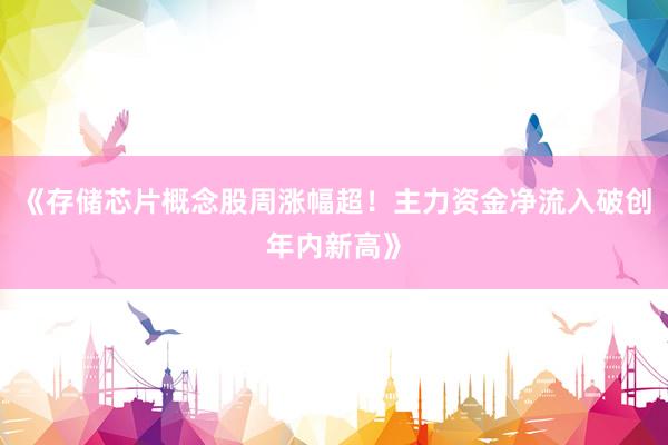 《存储芯片概念股周涨幅超！主力资金净流入破创年内新高》