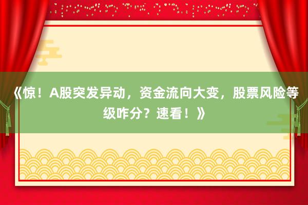 《惊！A股突发异动，资金流向大变，股票风险等级咋分？速看！》