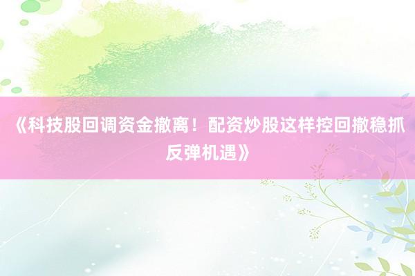 《科技股回调资金撤离！配资炒股这样控回撤稳抓反弹机遇》