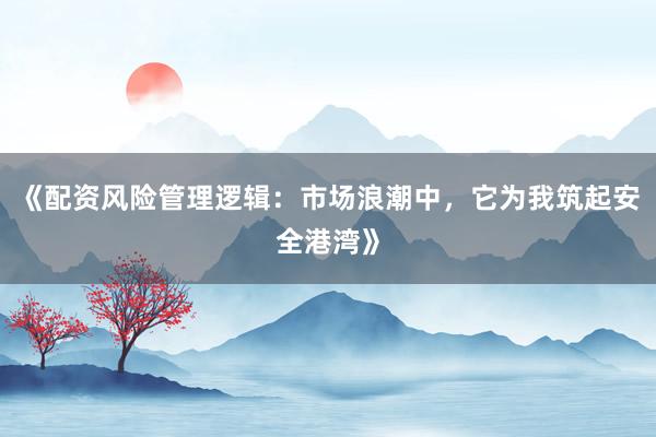 《配资风险管理逻辑：市场浪潮中，它为我筑起安全港湾》