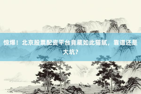 惊爆！北京股票配资平台竟藏如此猫腻，靠谱还是大坑？