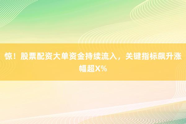 惊！股票配资大单资金持续流入，关键指标飙升涨幅超X%