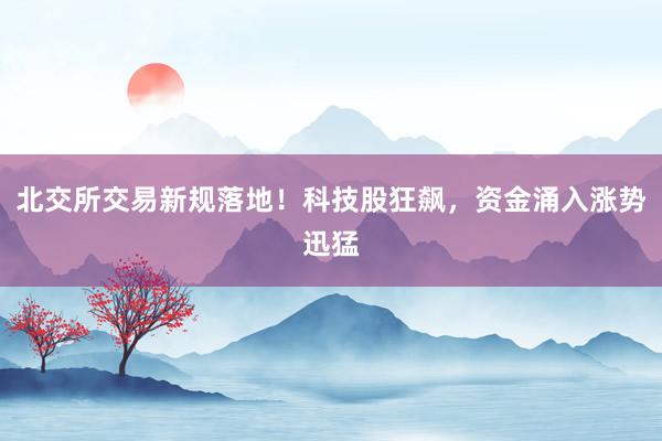 北交所交易新规落地！科技股狂飙，资金涌入涨势迅猛