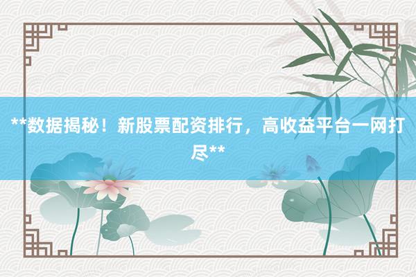 **数据揭秘！新股票配资排行，高收益平台一网打尽**