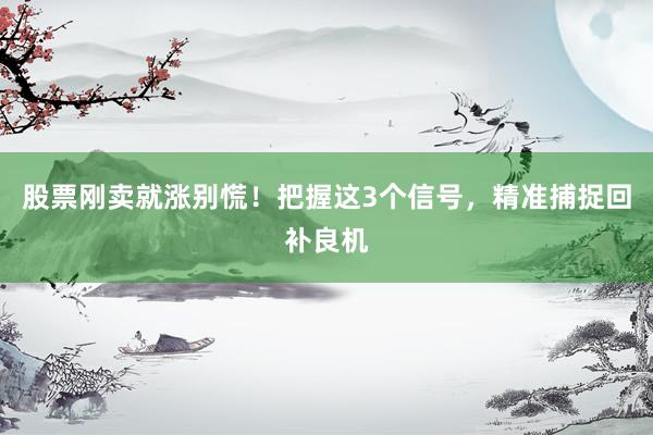 股票刚卖就涨别慌！把握这3个信号，精准捕捉回补良机