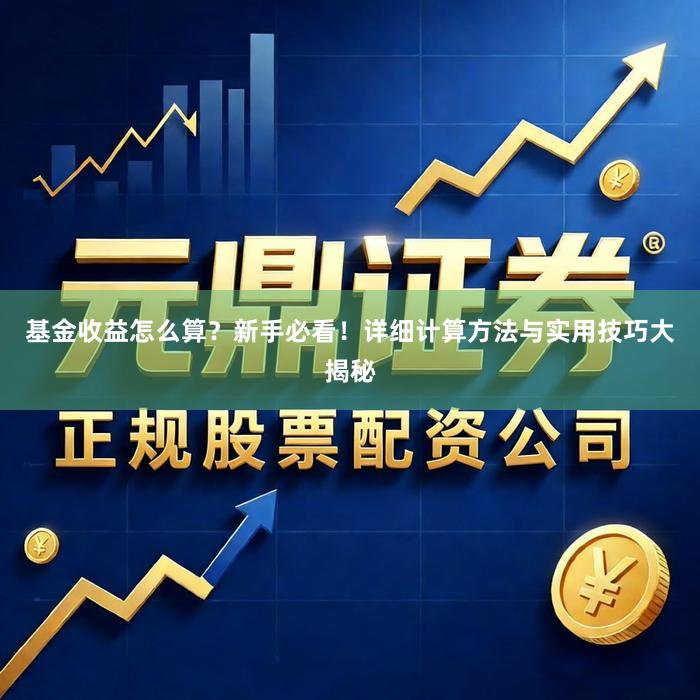 基金收益怎么算？新手必看！详细计算方法与实用技巧大揭秘