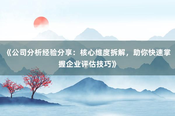 《公司分析经验分享：核心维度拆解，助你快速掌握企业评估技巧》