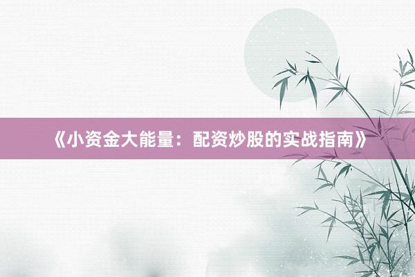 《小资金大能量：配资炒股的实战指南》