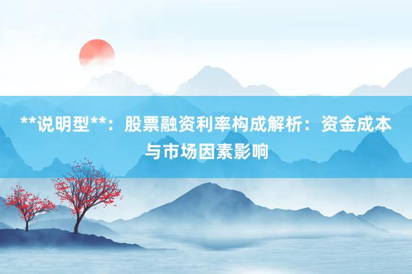 **说明型**：股票融资利率构成解析：资金成本与市场因素影响