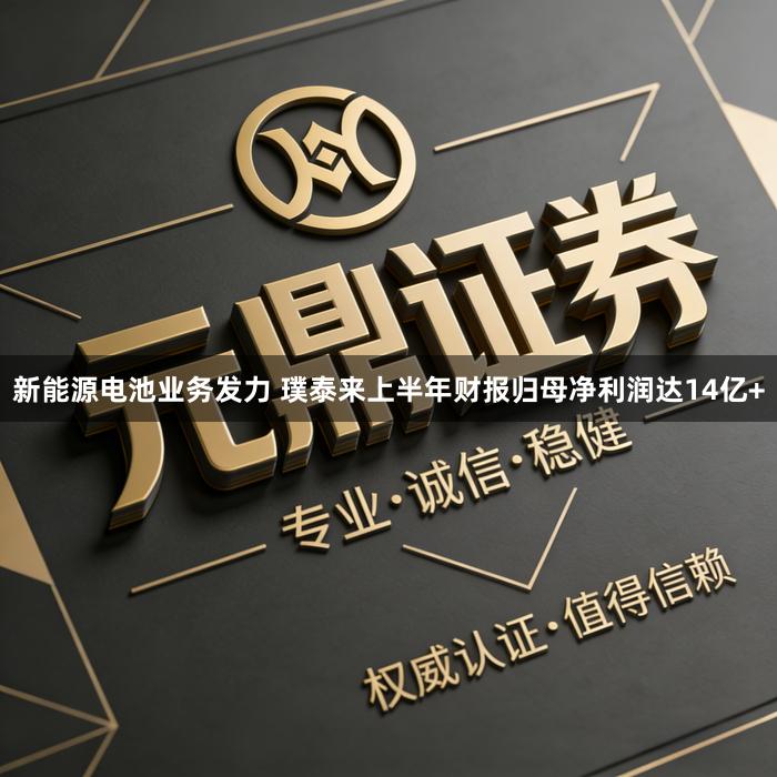 新能源电池业务发力 璞泰来上半年财报归母净利润达14亿+
