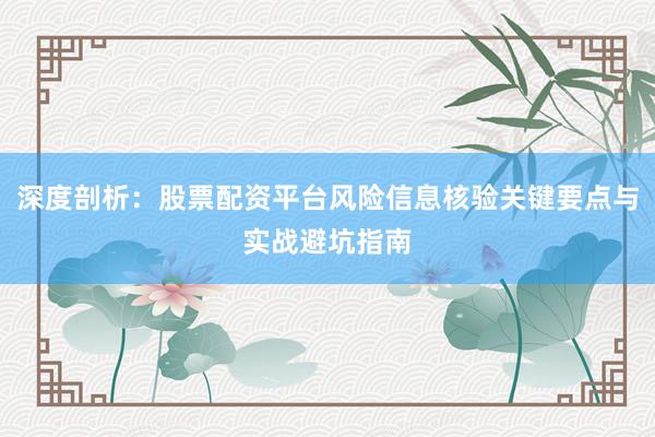 深度剖析：股票配资平台风险信息核验关键要点与实战避坑指南