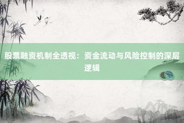 股票融资机制全透视：资金流动与风险控制的深层逻辑