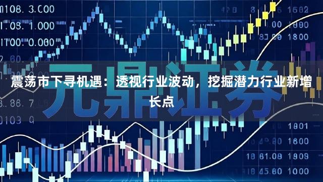 震荡市下寻机遇：透视行业波动，挖掘潜力行业新增长点