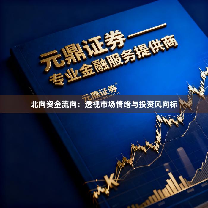 北向资金流向：透视市场情绪与投资风向标
