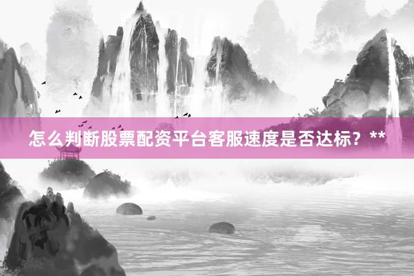 怎么判断股票配资平台客服速度是否达标？**