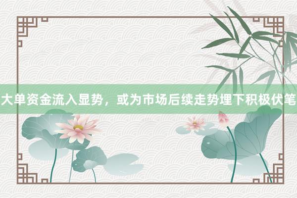 大单资金流入显势，或为市场后续走势埋下积极伏笔