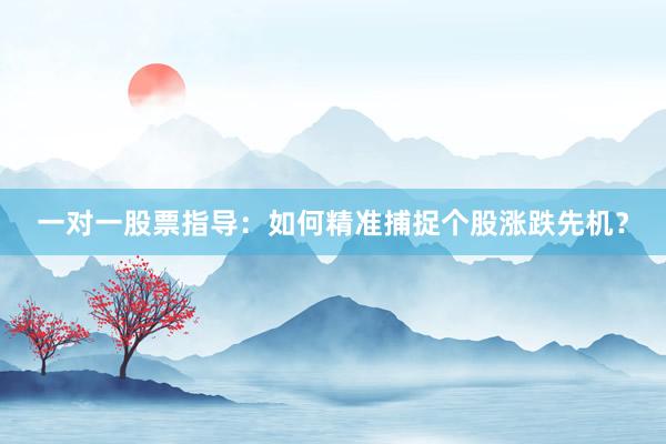 一对一股票指导：如何精准捕捉个股涨跌先机？