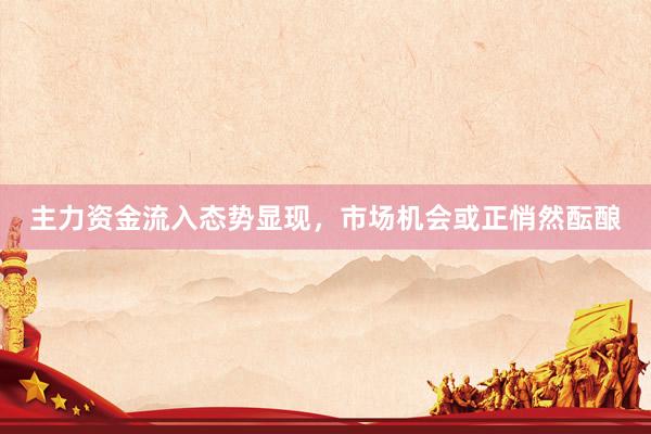 主力资金流入态势显现，市场机会或正悄然酝酿