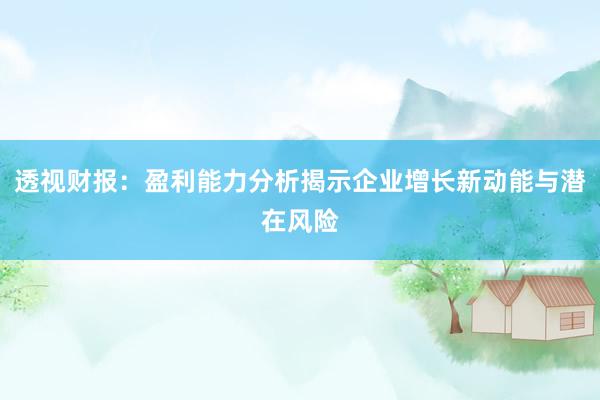 透视财报：盈利能力分析揭示企业增长新动能与潜在风险