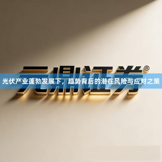 光伏产业蓬勃发展下，趋势背后的潜在风险与应对之策