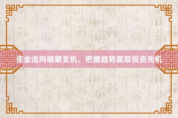 资金流向暗藏玄机,把握趋势赢取投资先机