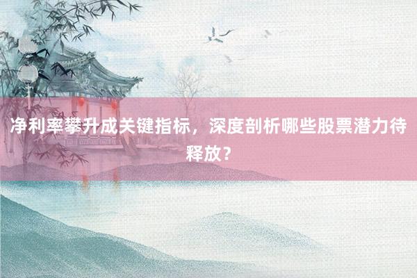 净利率攀升成关键指标，深度剖析哪些股票潜力待释放？