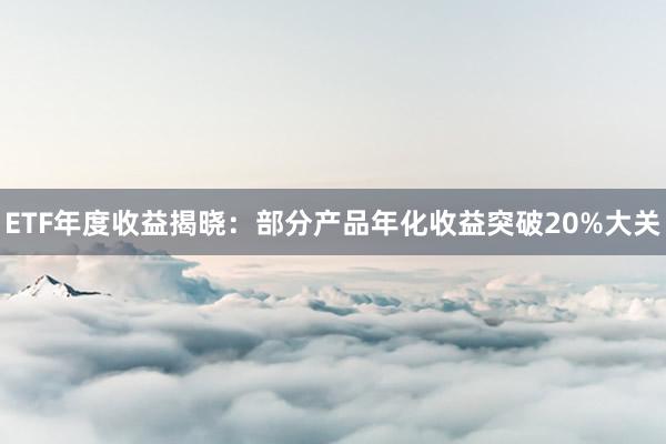 ETF年度收益揭晓：部分产品年化收益突破20%大关
