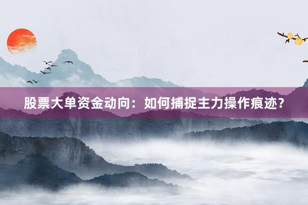 股票大单资金动向：如何捕捉主力操作痕迹？